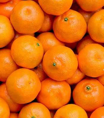 Mandarin from Chile supplied by San José Farms - Fresh (=Chilled) Fresh Clementine