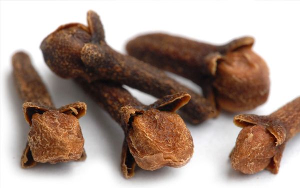 clove from 스리랑카 supplied by euro west export (pvt)ltd - Whole 통정향