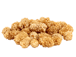 organic dried mulberries from 튀르키예 supplied by FARMEKS TARIM - White Mulberry 말린 오디