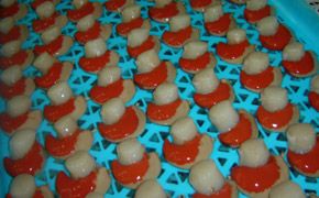 Single Stem Scallop - ROE OFF from Peru supplied by Acuacultura Y Pesca S.A.C - Vacuum Packed (=VAC) Frozen Scallop