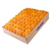 Apricot from 튀르키예 supplied by Gocmez A.S. - Carton Box (=Cardboard Box) 신선 자두