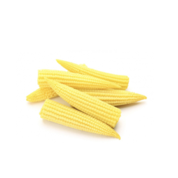 Baby Corn from Netherlands supplied by Fayad's Fruits & Vegetables B.v. - Baby Corn Maize (Corn)