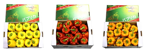 Fresh Paprika Pepper from 대한민국 supplied by NH Trading Co., Ltd. - Whole 신선 피망
