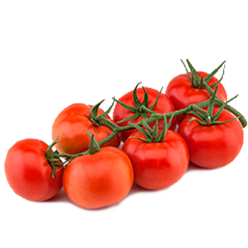 Fresh Tomato from Spain supplied by Agro Red & Green S.L. - Green Fresh Tomato