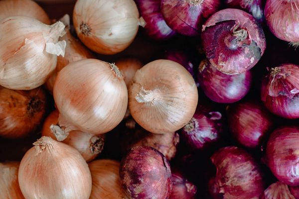 Onion from 벨기에 supplied by Agridor - BE - Whole 신선 양파