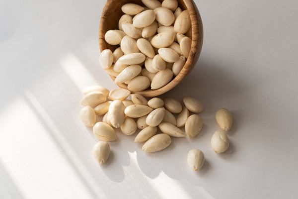 Almond from 튀르키예 supplied by Demkar Nuts - Shelled (=Kernel) 아몬드 알맹이