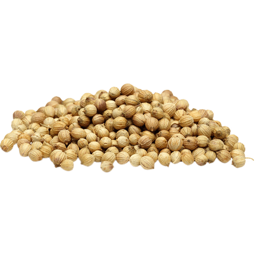 Coriander Seeds from Egypt supplied by Al Dahlia Co - Raw (=Natural) Coriander