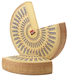Gruyere Cheese from 스위스 supplied by Margot Fromages S.A - Washed Rind 그뤼에르 치즈