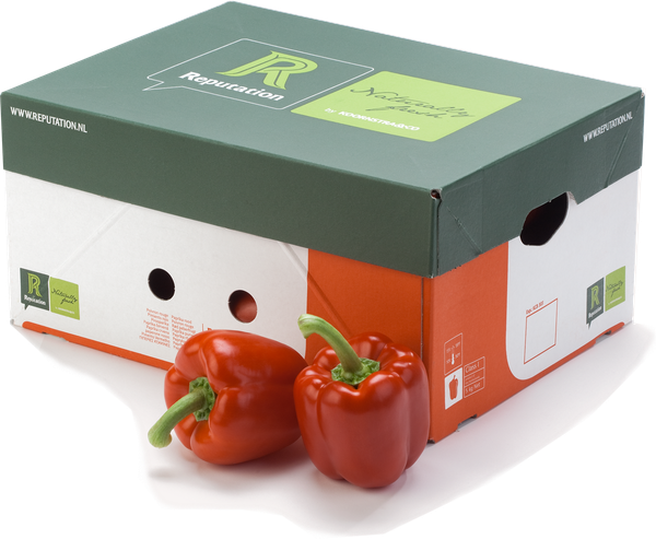 Capsicum from 네덜란드 supplied by Koornstra - Red 캡시쿰