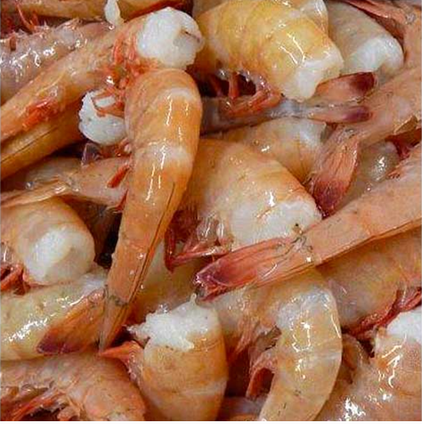 Shrimp from 미국 supplied by Bon Secour Fisheries, Inc - Fresh (=Chilled=Raw) 신선 새우