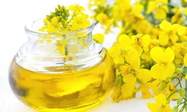 Rapeseed Oil from 벨라루스 supplied by SLUTSK CENTRE OF GRAIN PRODUCTION - Rapeseed Oil 비정제 카놀라유 및 유채씨유