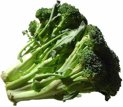 Fresh Whole Broccoli from 그리스 supplied by MENORKA SOLE SHAREHOLDER CO., LTD. - Whole 신선 브로콜리 꽃