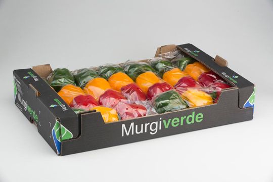 Bell Peppers Organic & Demeter from 스페인 supplied by MurgiVerde Soc. Coop. Andaluza - Mild 신선 피망