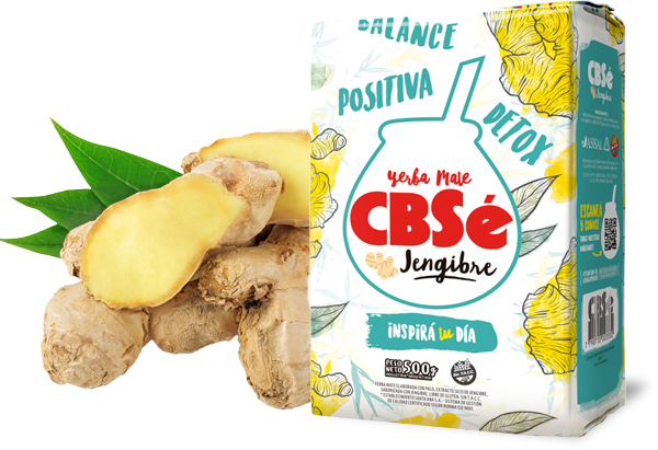 Yerba Mate Ginger from 아르헨티나 supplied by Establecimiento Santa Ana S.A. - Yerba Mate 허브차