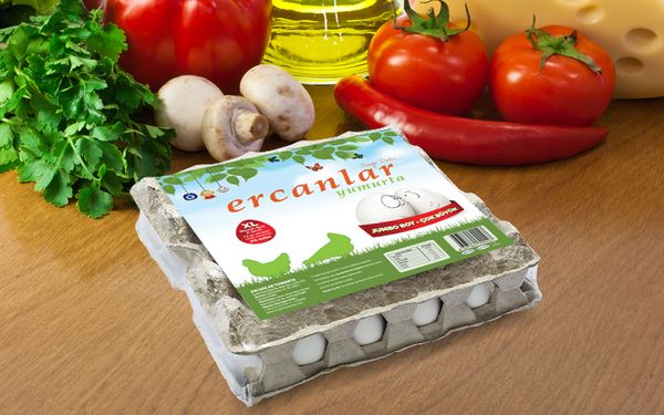 20 XL Chicken Eggs from 튀르키예 supplied by Ercanlar Yumurta Yarka Yem Gida insaat Nakliyat Sanayi Ve Ticaret A S - XL 달걀
