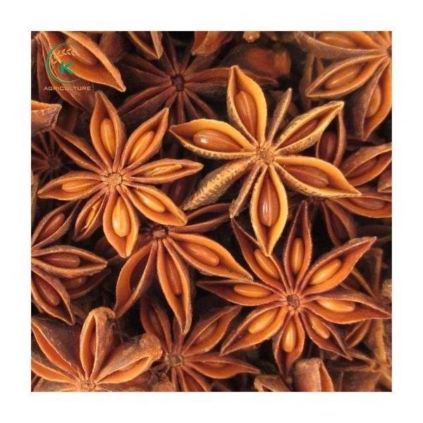 Vietnam Spring Harvest Star Anise from Vietnam supplied by K Agriculture - Natural color Star Anise