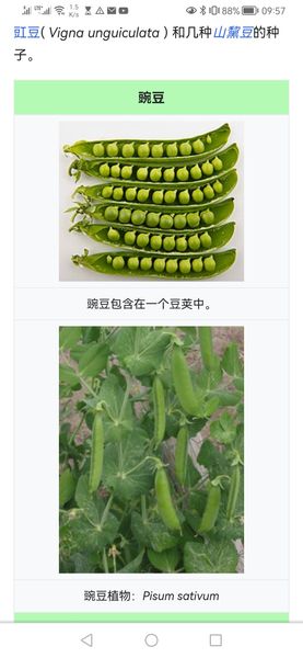 Skoilking from 캐나다 supplied by C & Y TRADING COMPANY LIMITED - 아마씨유