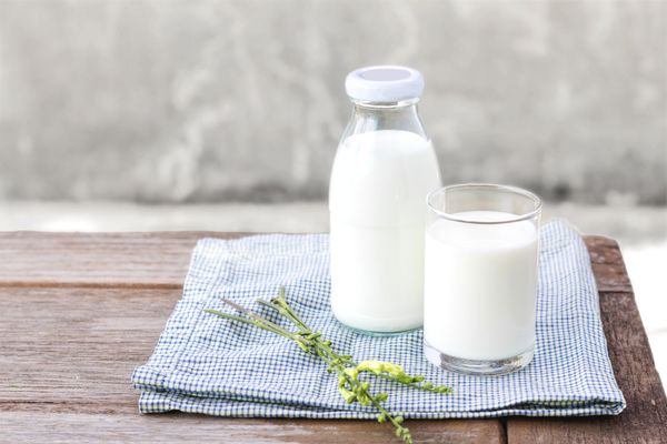 Goat Milk from 독일 supplied by KAROLINENHOF - Organic 산앙유