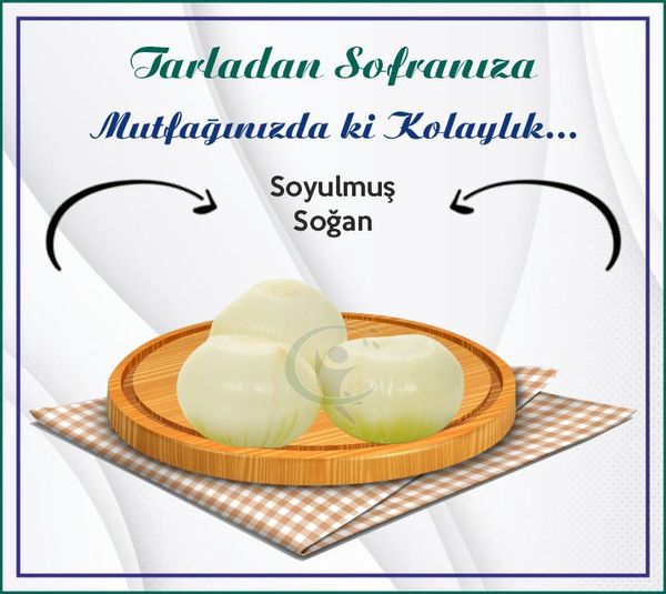 PEELED ONIONS from Turkiye supplied by Degirmenci Gida Sanayi Ve Ticaret Limited Sirketi - Peeled Fresh Onion