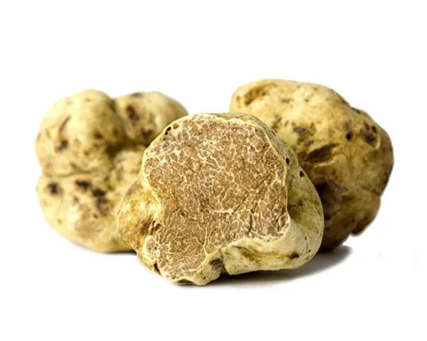 Fresh White Truffles from 미국 supplied by Sabatino North America, LLC - White 트러플