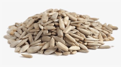 Hulled Sunflower Seed from Bulgaria supplied by First May JSC - Kernel Sunflower Seed