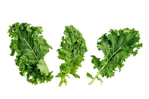 Leaf Kale from South Africa supplied by Cherene Organics - Curly Kale Kale