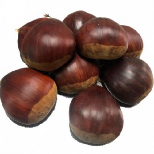 Walnut from 스페인 supplied by FAUNDEZ Gourmet - Whole 생호두
