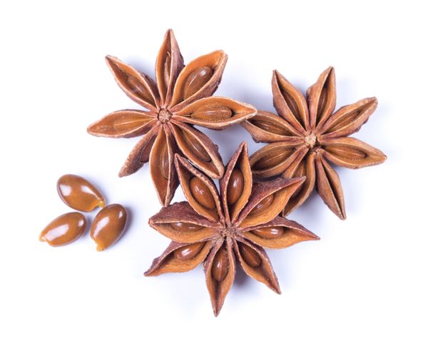 Star Anise from Germany supplied by Worlée NaturProdukte GmbH - Whole Star Anise