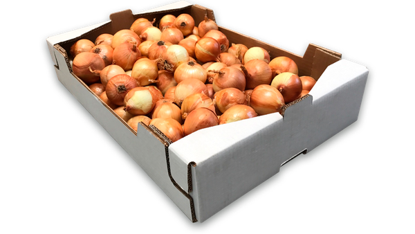 Fresh Onion from Spain supplied by El Cortijo Bio SL - Fresh (=Chilled) Fresh Onion
