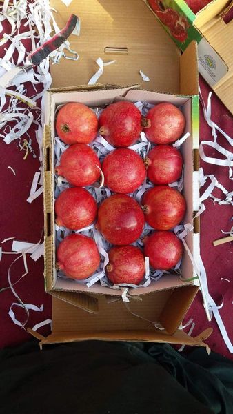 Fresh Pomegranate from 아프가니스탄 supplied by Sher Shah Naseer Afghan Ltd - Red 신선 석류