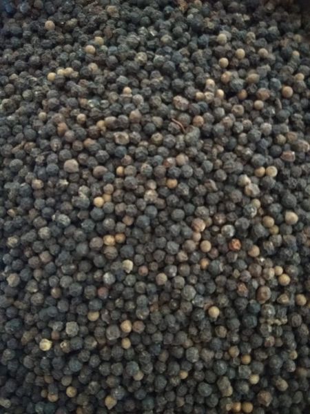 Black Pepper from Indonesia supplied by PT. Arghaniaga Eka Tunggal - Medium-Large Whole Black Peppercorn