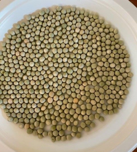 Green Pea from 호주 supplied by Exports of Australia Pty Ltd - 말린 완두