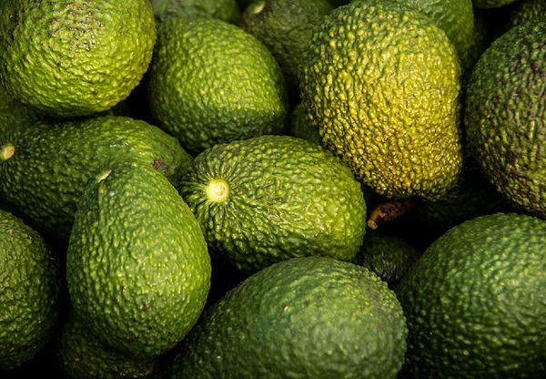 Fresh Avocado from 독일 supplied by Fresh-Connection Fruchtimport GmbH - Hass 신선 아보카도