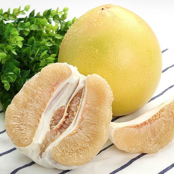 White honey pomelo from China supplied by Xiamen Sino Orchard Industry Co. Ltd - White Flesh Fresh Pomelo