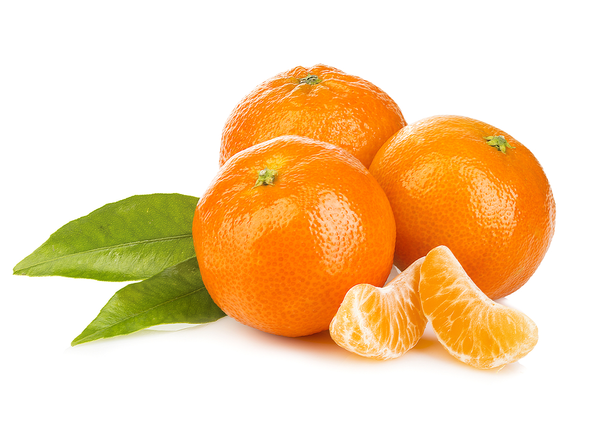 Fresh Clementine from France supplied by Meseguer ETS - Fresh (=Chilled) Fresh Clementine