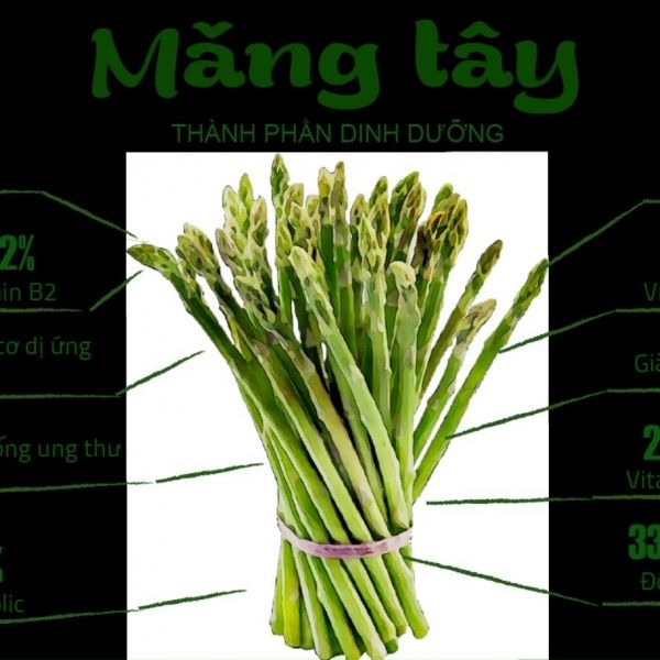 Asparagus Vietgap - Ninh Thuan from Vietnam supplied by Vietnam Cotton Joint Stock Company - Green Fresh Asparagus