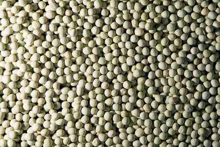 Pea from United States supplied by AGT Food and Ingredients - Round Fresh Common Pea
