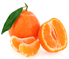 Tangerine from 포르투갈 supplied by Frutas J. A. Mourinho, Lda - 주황색 신선 오렌지