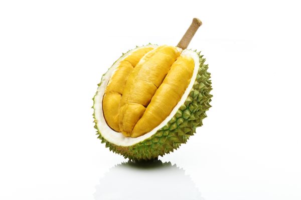 Fresh Durian from Malaysia supplied by TRL South East Asia Sdn Bhd - Red Prawn (=D175) Fresh Durian