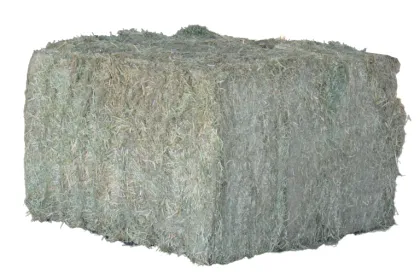 Hay from 미국 supplied by Larsen Farms - 전체 베일 건초
