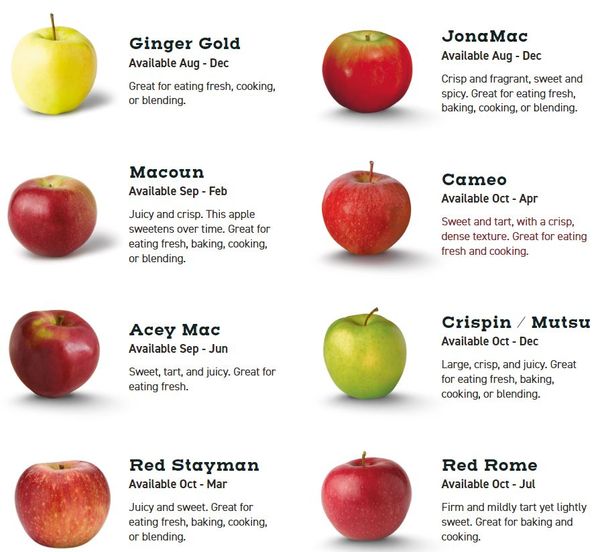 Apple from 미국 supplied by Hudson River Fruit - 노란빛 신선 사과