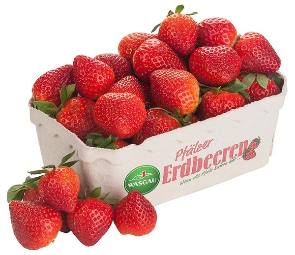 Fresh Strawberries from Germany supplied by WASGAU Produktions & Handels AG - Conventional Fresh Strawberry