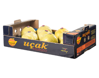 Quince from Turkiye supplied by Ucak Kardesler - Esme Quince