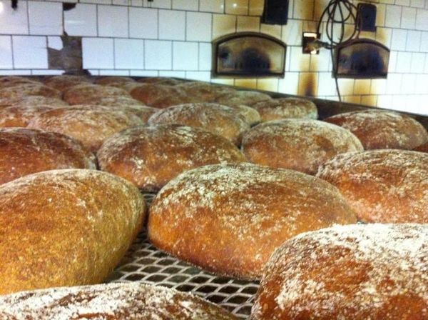 Bread Roll from 핀란드 supplied by Risto Peltola Bakery - Bread 베이커리 및 빵류