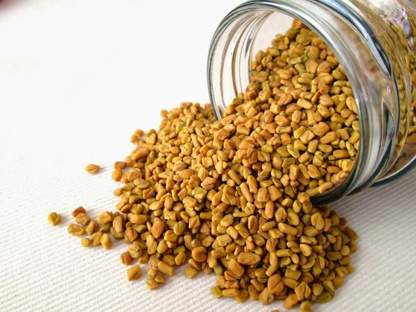 Fenugreek Seeds from India supplied by Trapezium Commerce Private Limited - High Quality Fenugreek Seed