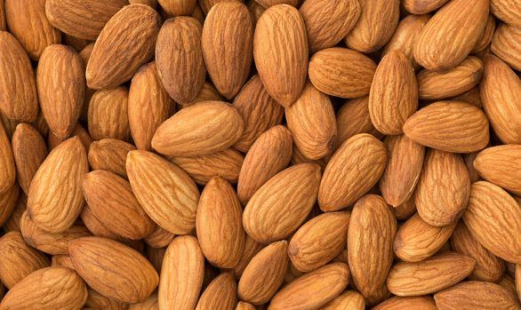 Organic Almond from 독일 supplied by Ortlieb Organic GmbH - Shelled (=Kernel) 아몬드 알맹이
