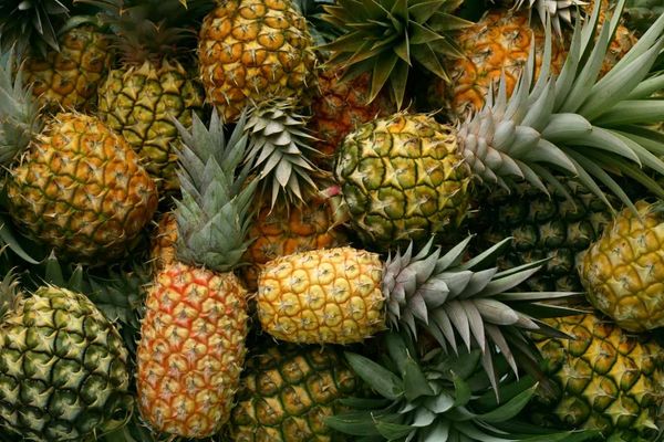 Pineapple from United States supplied by Mike's Produce Service - Yellow Fresh Pineapple