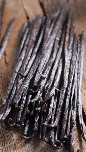 Vanilla from Madagascar supplied by VANILLE LABELLE - Dried Vanilla