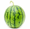 Watermelon from Turkiye supplied by Yucesoy Tarim - Striped Green Rind Fresh Watermelon