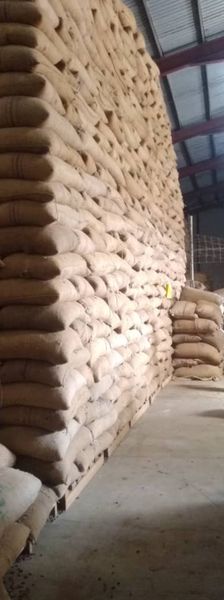Cocoa from Nigeria supplied by Ajibobare Nigeria Limited - Brown Cocoa Bean